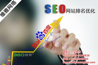 臨淄優(yōu)化 優(yōu)化技術 維雅網(wǎng)絡 認證商家 高清圖片 高清大圖