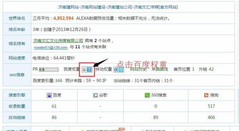 網站空間查詢排名